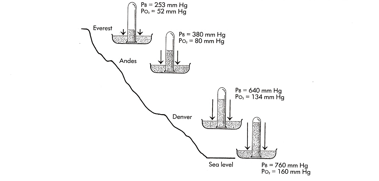 Air pressure declines with altitude