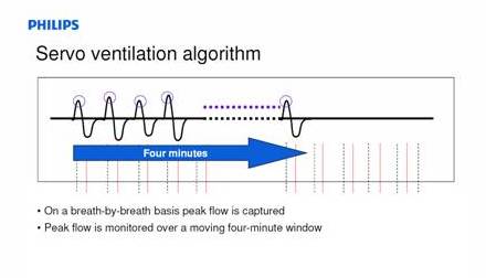 Respironics peak flow algorithm