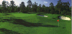Course Photo