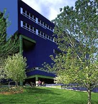 Mt. Sinai Hospital